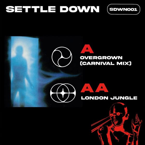 Settle Down - Overgrown